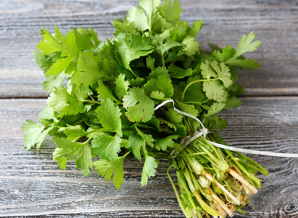 Cilantro leaves