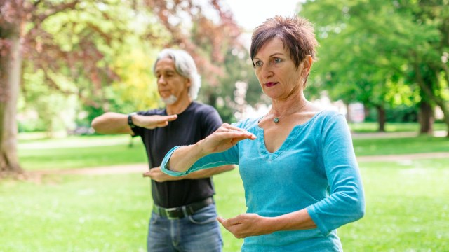 Senior Couple Doing Tai Chi In Park, Tuebingen, Germany