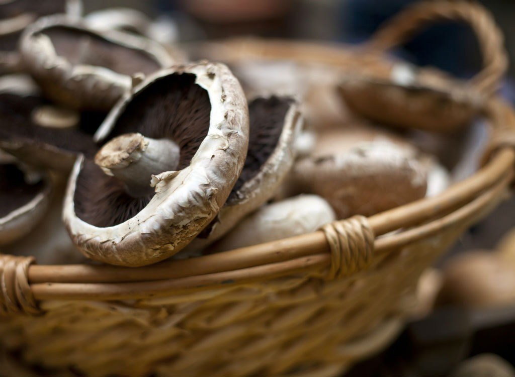 Portobello mushrooms