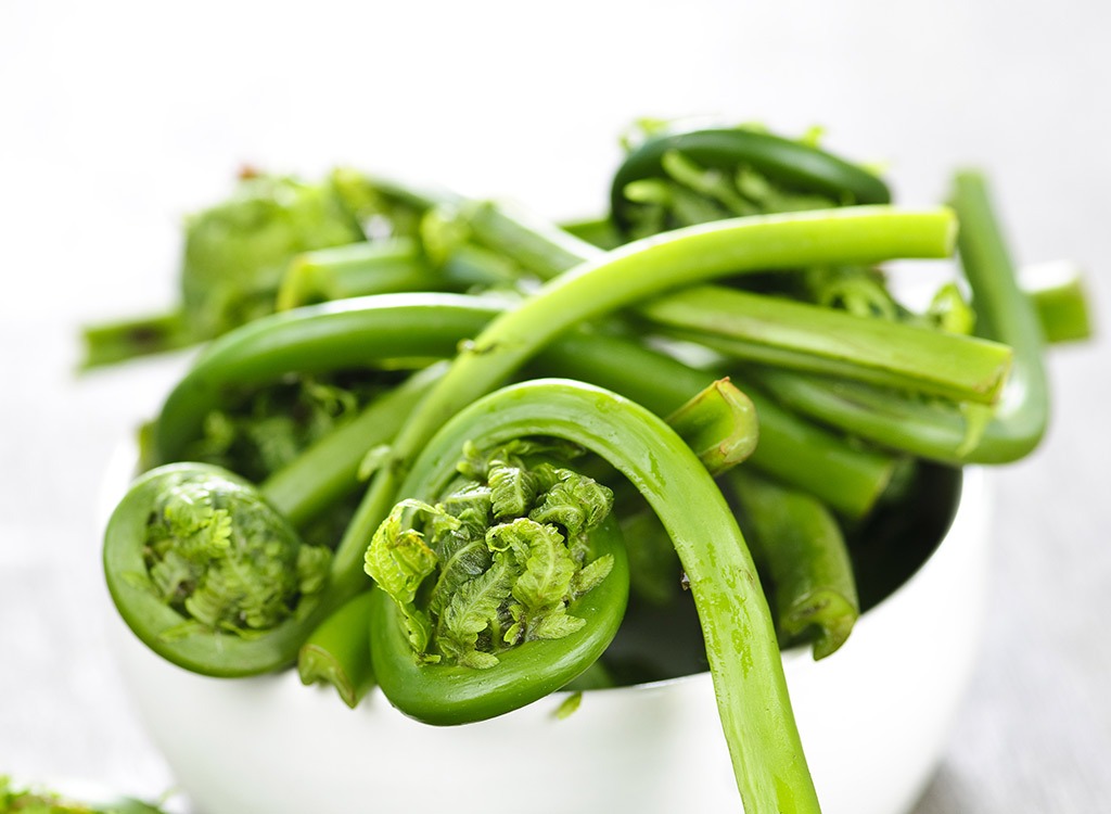 Fiddlehead ferns