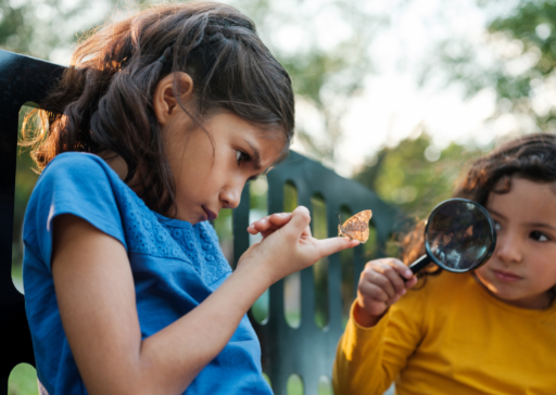 children inspecting a butterfly types of empath