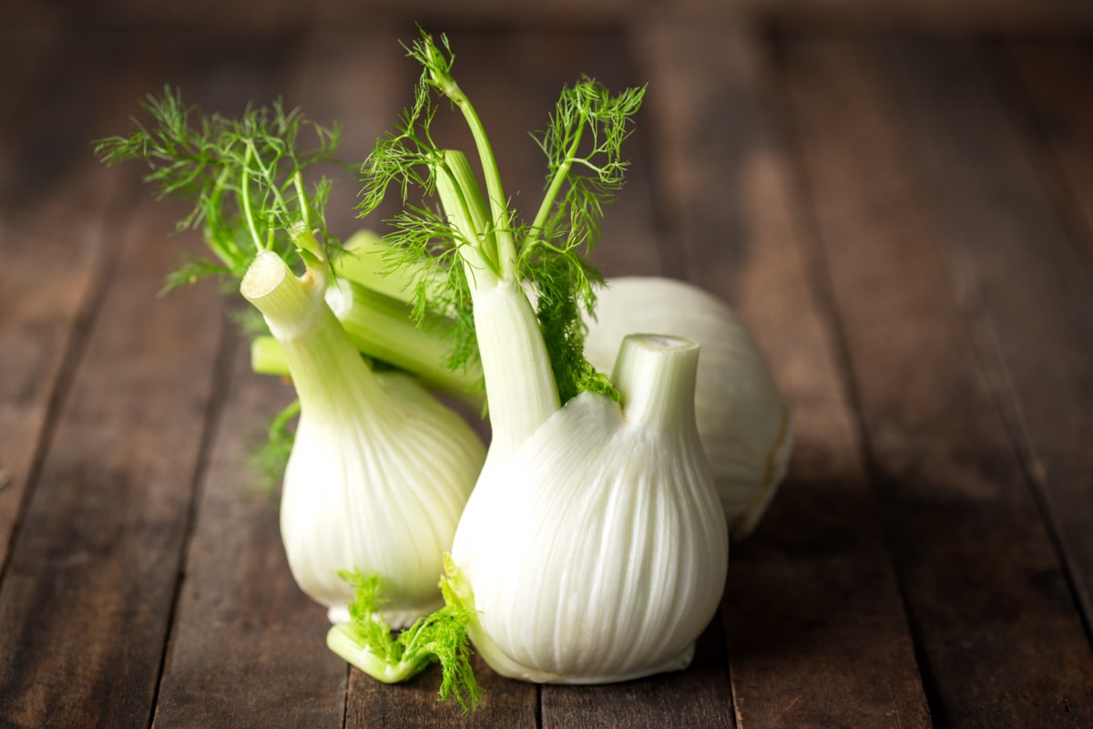 Fresh fennel bulb